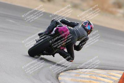 media/Dec-17-2022-SoCal Trackdays (Sat) [[224abd9271]]/Turn 10 Backside (120pm)/